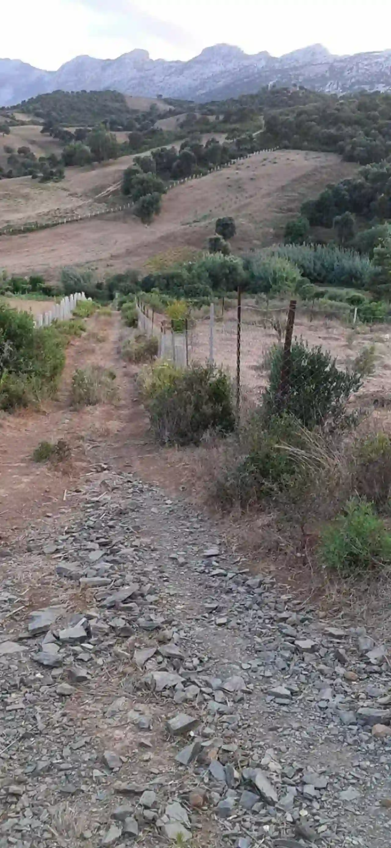  propriété terrain À VENDRE À M'diq , deux FA...