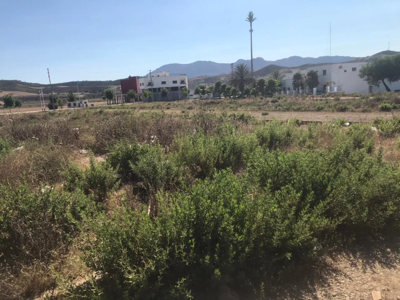 Terrain en vent à M'Diq Lotissement BOUZAGHLAL  D'une superficie de 231 m².