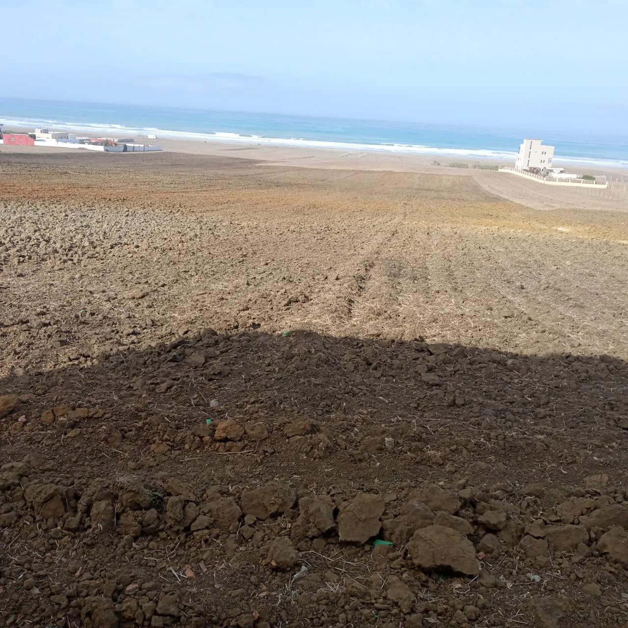 Portefeuille terrain à vendre entre Tanger et Asilah superficie de 6 hectares