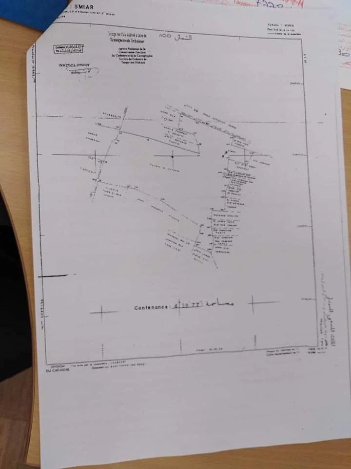 Portefeuille terrain à vendre entre Tanger et Asilah superficie de 6 hectares