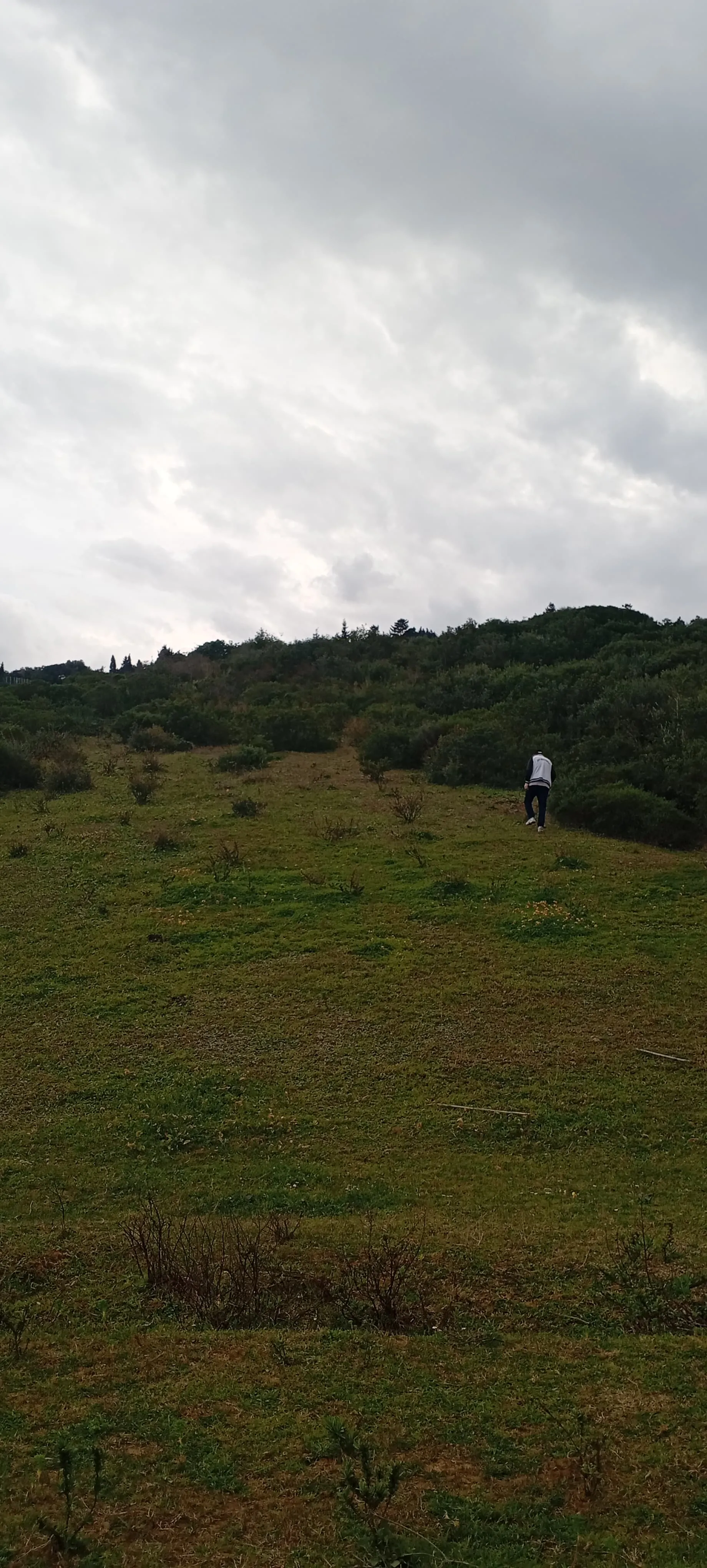 Terrain à Vendre à Tétouan – 2168 m² à Mellaliyine, Emplacement Idéal
