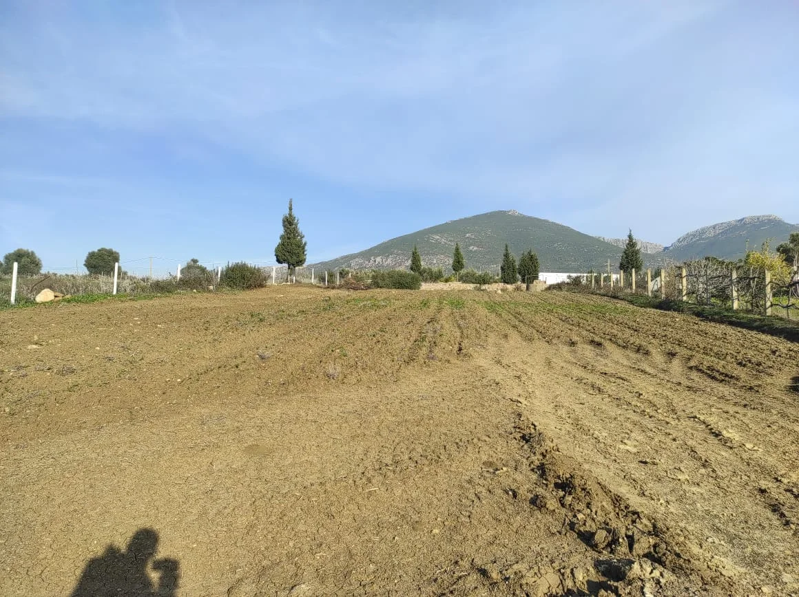 Terrain Agriculture a vendre a cote de tétouan 2341 m² 4 facades Titrée Villa R3