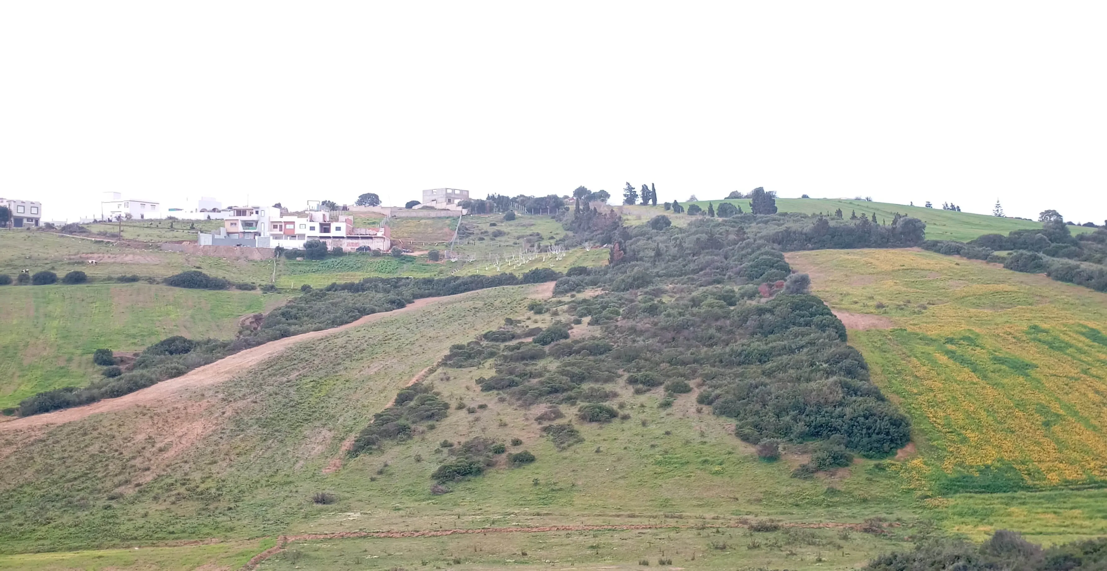 Terrain à Vendre à Tétouan – 2168 m² à Mellaliyine, Emplacement Idéal