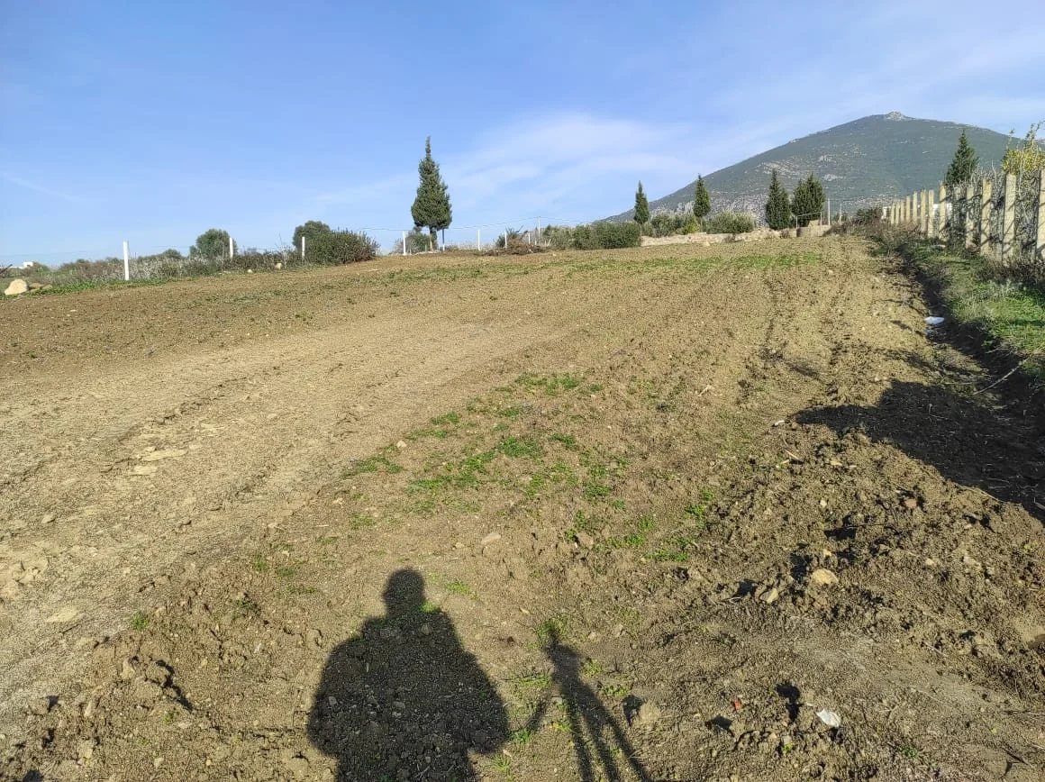 Terrain Agriculture a vendre a cote de tétouan 2341 m² 4 facades Titrée Villa R3