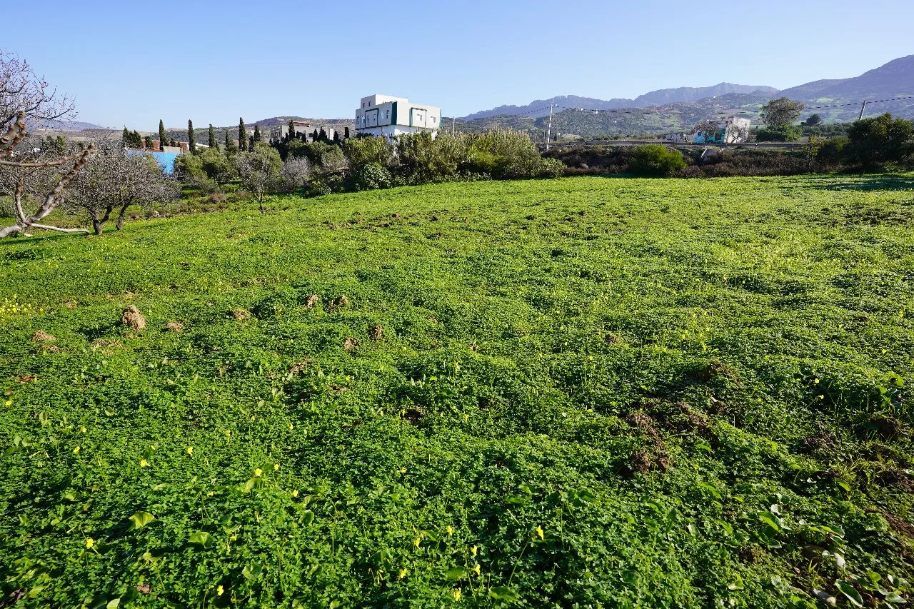 Terrain à vendre à ben qarich, 3500 mètres, convenant à la construction, propriété