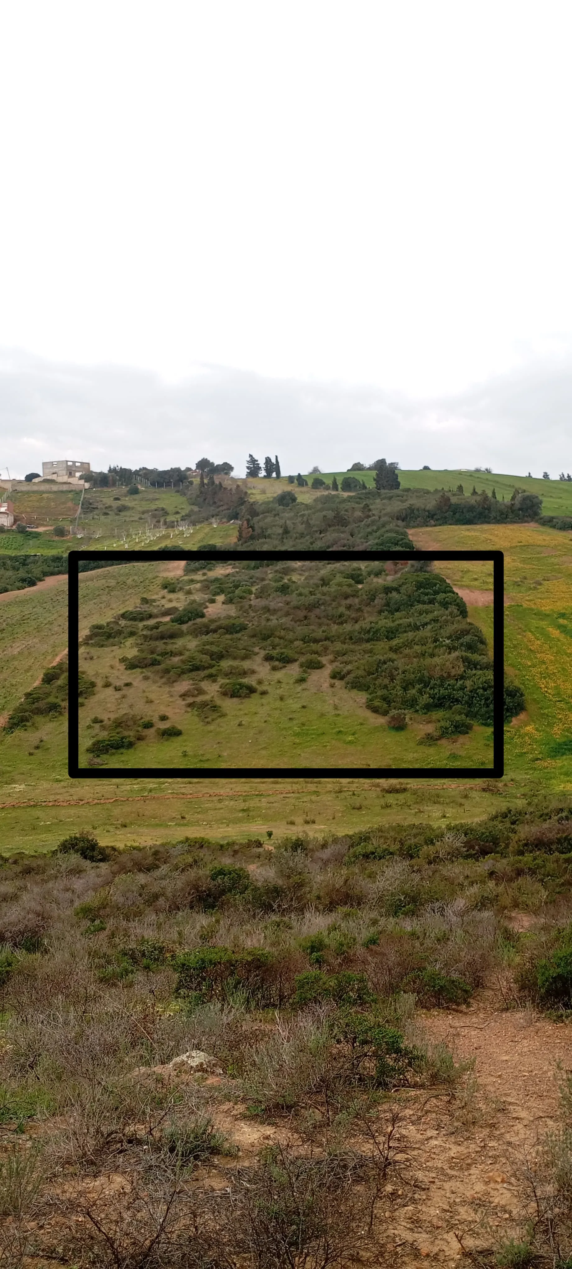 Terrain à Vendre à Tétouan – 2168 m² à Mellaliyine, Emplacement Idéal