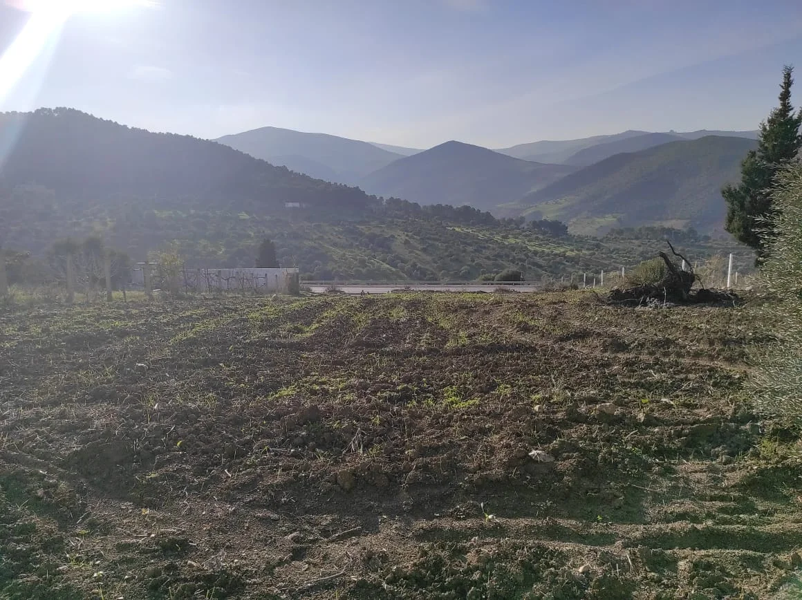 Terrain Agriculture a vendre a cote de tétouan 2341 m² 4 facades Titrée Villa R3