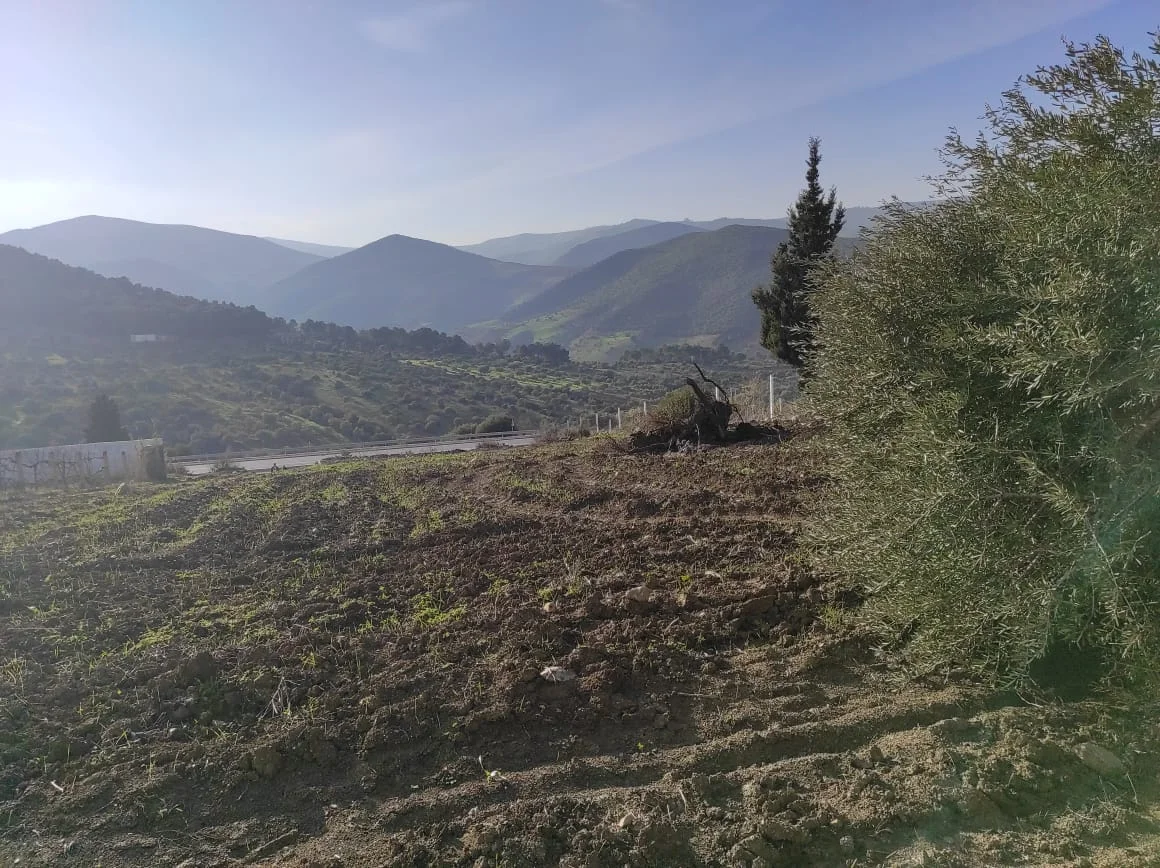 Terrain Agriculture a vendre a cote de tétouan 2341 m² 4 facades Titrée Villa R3