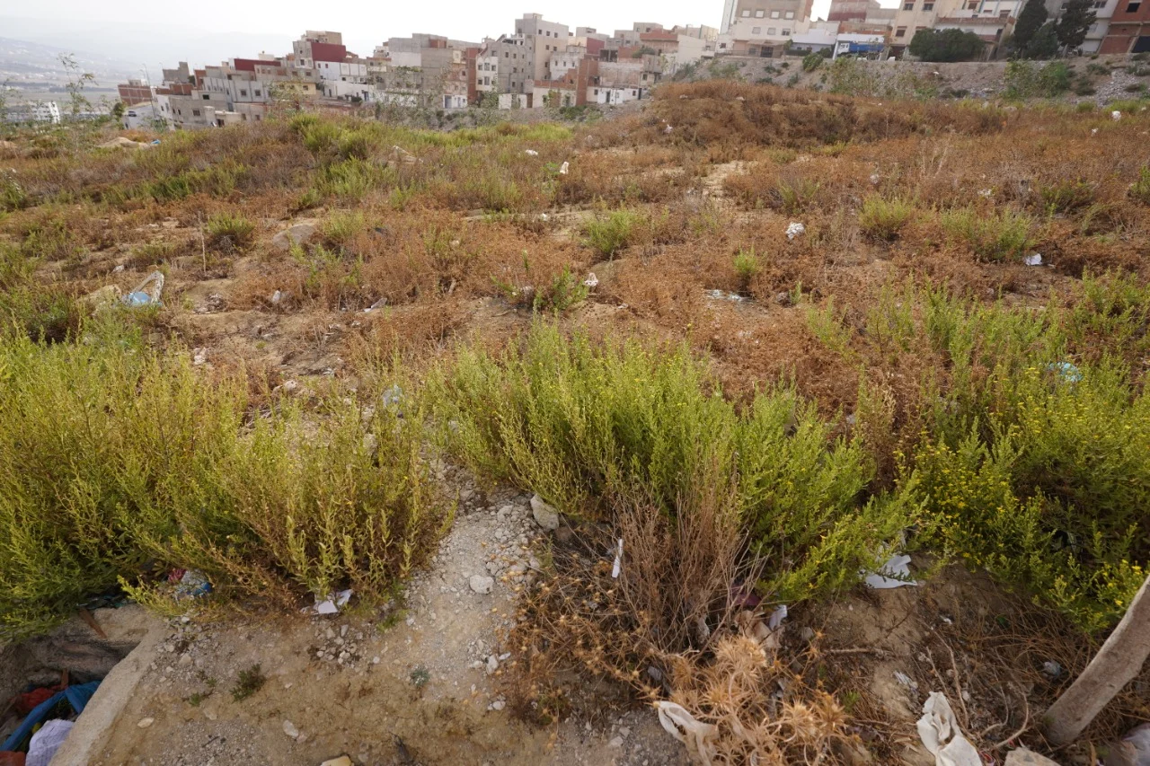 Un terrain à vendre dans la ville de Tétouan, équipé en eau et électricité 70 m²